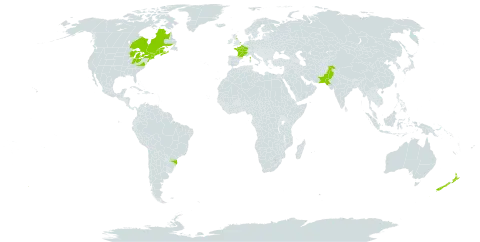 Salix viminalis world distribution map, present in Brazil, Canada, France, United Kingdom of Great Britain and Northern Ireland, New Zealand, Pakistan, and United States of America