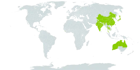 Salomonia world distribution map, present in Australia, China, Micronesia (Federated States of), India, Japan, Cambodia, Sri Lanka, Nepal, Korea (Democratic People's Republic of), Thailand, Taiwan, Province of China, and United States of America