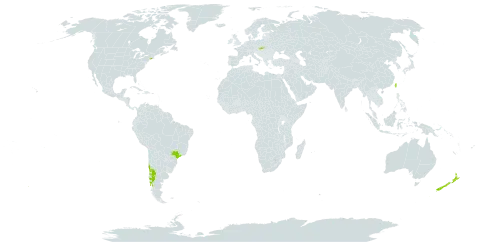 Salpiglossis sinuata world distribution map, present in Argentina, Brazil, Chile, New Zealand, Slovakia, Taiwan, Province of China, and United States of America