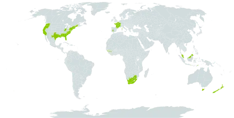 Salsola kali world distribution map, present in Australia, Spain, France, Guinea, Hong Kong, Indonesia, Malaysia, New Zealand, Timor-Leste, United States of America, and South Africa