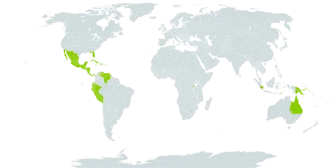 Salvia misella world distribution map, present in American Samoa, Australia, Burkina Faso, Belize, Costa Rica, Cuba, Ecuador, Guatemala, Honduras, Haiti, Indonesia, Jamaica, Mexico, Nicaragua, Panama, Peru, Papua New Guinea, Puerto Rico, Rwanda, Solomon Islands, Timor-Leste, Uruguay, United States of America, and Venezuela (Bolivarian Republic of)