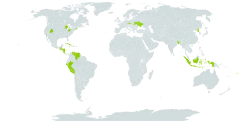 Salvia splendens world distribution map, present in Bangladesh, Costa Rica, Cuba, Cayman Islands, Czech Republic, Fiji, Guatemala, Honduras, Indonesia, Jamaica, Nicaragua, Peru, Puerto Rico, Korea (Democratic People's Republic of), Ukraine, United States of America, and Venezuela (Bolivarian Republic of)