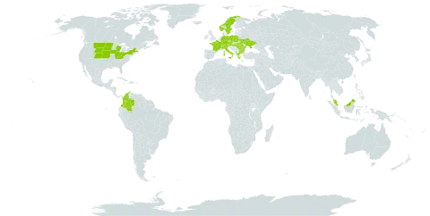 Salvia x sylvestris world distribution map, present in Albania, Austria, Bulgaria, Switzerland, Colombia, Czech Republic, Germany, France, Greece, Hungary, Italy, Malaysia, Norway, Poland, Romania, Sweden, Turks and Caicos Islands, Ukraine, and United States of America