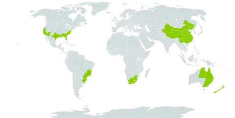 Salvinia molesta world distribution map, present in Australia, Brazil, China, New Zealand, United States of America, and South Africa