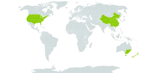 Saponaria world distribution map, present in Australia, China, New Zealand, and United States of America