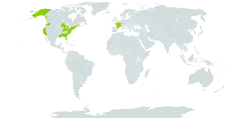 Sarracenia purpurea world distribution map, present in France and United States of America