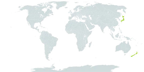 Sasaella ramosa world distribution map, present in Japan and New Zealand