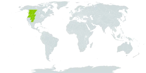 Saxifraga bronchialis subsp. austromontana world distribution map, present in Canada and United States of America