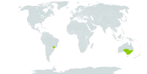 Scaevola aemula world distribution map, present in Australia and Brazil