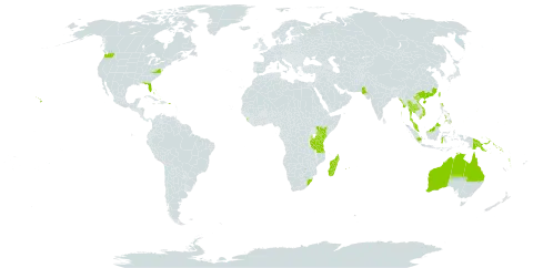 Scaevola sericea world distribution map, present in American Samoa, French Southern Territories, Antigua and Barbuda, Australia, Bahamas, China, Cook Islands, Cayman Islands, Fiji, Micronesia (Federated States of), Guam, Indonesia, India, Kenya, Kiribati, Sri Lanka, Madagascar, Maldives, Marshall Islands, Myanmar, Northern Mariana Islands, Mauritius, Malaysia, Mayotte, Niue, Nauru, Pakistan, Pitcairn, Philippines, Palau, Papua New Guinea, Puerto Rico, Réunion, Singapore, Solomon Islands, Thailand, Tokelau, Tonga, Tuvalu, Taiwan, Province of China, Tanzania, United Republic of, United States Minor Outlying Islands, United States of America, Viet Nam, Vanuatu, Wallis and Futuna, Samoa, and South Africa