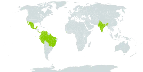 Schnella glabra world distribution map, present in American Samoa, Bonaire, Sint Eustatius and Saba, Belize, Brazil, Colombia, Costa Rica, Ecuador, French Guiana, India, Sri Lanka, Mexico, Panama, Peru, and Venezuela (Bolivarian Republic of)