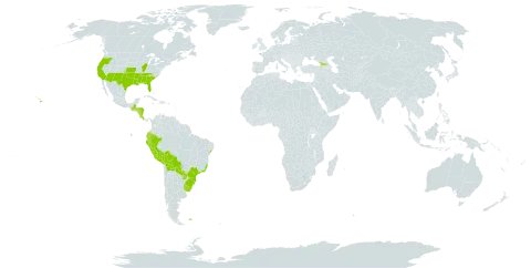 Schoenoplectus californicus world distribution map, present in Åland Islands, Bolivia (Plurinational State of), Brazil, Cook Islands, Costa Rica, Ecuador, Falkland Islands (Malvinas), Georgia, Guatemala, Honduras, Nicaragua, Peru, Paraguay, Uruguay, and United States of America