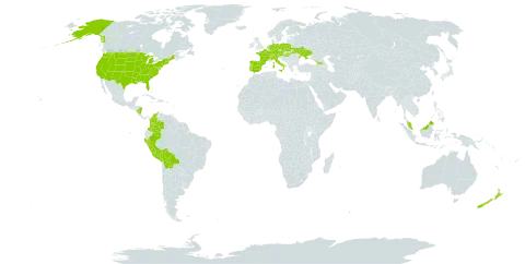 Schoenoplectus pungens world distribution map, present in Åland Islands, Austria, Bolivia (Plurinational State of), Switzerland, Colombia, Czech Republic, Germany, Dominica, Spain, France, Micronesia (Federated States of), Georgia, Hungary, Italy, Malaysia, Nicaragua, Netherlands, New Zealand, Peru, Poland, Portugal, Ukraine, and United States of America