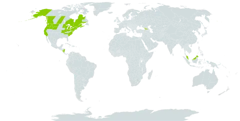 Schoenoplectus subterminalis world distribution map, present in Åland Islands, Canada, France, Micronesia (Federated States of), Georgia, Malaysia, Nicaragua, and United States of America