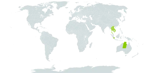 Schoutenia ovata world distribution map, present in Australia, Indonesia, Cambodia, Lao People's Democratic Republic, Thailand, and Viet Nam