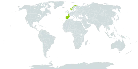 Scilla verna world distribution map, present in Spain, France, United Kingdom of Great Britain and Northern Ireland, Ireland, Norway, and Portugal