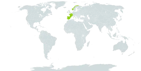 Scilla verna subsp. verna world distribution map, present in Spain, France, United Kingdom of Great Britain and Northern Ireland, Ireland, Norway, and Portugal