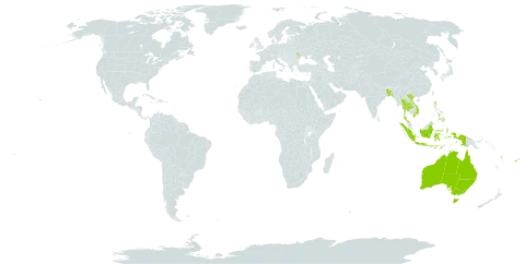 Scirpodendron world distribution map, present in Australia, Bangladesh, Fiji, Indonesia, Moldova (Republic of), Philippines, Thailand, United States of America, Viet Nam, Vanuatu, Wallis and Futuna, and Samoa