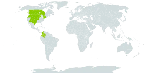 Scirpus pallidus world distribution map, present in Canada, Colombia, and United States of America