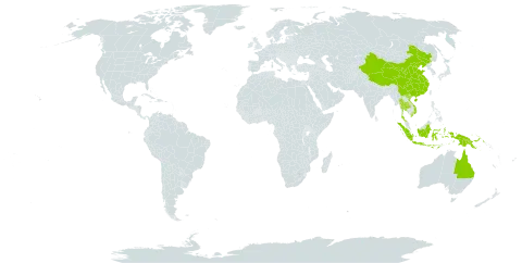 Scleria benthamii world distribution map, present in Australia, China, Indonesia, Philippines, Papua New Guinea, Thailand, and Viet Nam