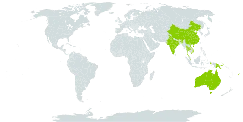 Scleria lithosperma var. linearis world distribution map, present in Australia, China, Fiji, Indonesia, India, Iceland, Malaysia, Philippines, Papua New Guinea, Thailand, and Viet Nam