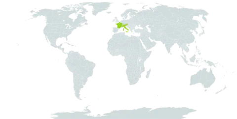 Scorzoneroides montana subsp. montana world distribution map, present in Austria, Bosnia and Herzegovina, Switzerland, France, Italy, Liechtenstein, Montenegro, Serbia, and Slovenia