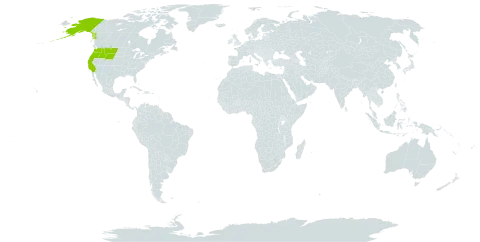 Scouleria aquatica world distribution map, present in United States of America