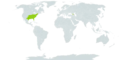 Scutellaria elliptica var. elliptica world distribution map, present in Åland Islands, Micronesia (Federated States of), Georgia, and United States of America