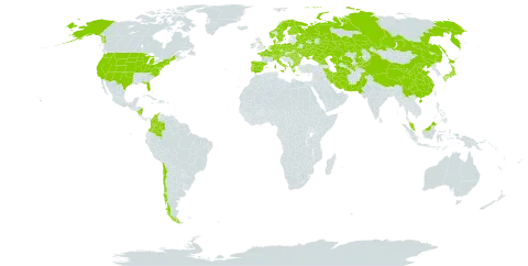 Scutellaria galericulata world distribution map, present in Albania, Austria, Bulgaria, Belarus, Switzerland, Chile, China, Colombia, Czech Republic, Germany, Denmark, Spain, Finland, France, Micronesia (Federated States of), United Kingdom of Great Britain and Northern Ireland, Georgia, Greece, Hungary, Ireland, Iran (Islamic Republic of), Italy, Japan, Kazakhstan, Kyrgyzstan, Montenegro, Malaysia, Nicaragua, Netherlands, Norway, Pakistan, Palau, Poland, Portugal, Romania, Russian Federation, Sweden, Turks and Caicos Islands, Turkmenistan, Ukraine, United States of America, and Uzbekistan