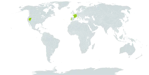 Sedum candolleanum world distribution map, present in Spain, France, Portugal, and United States of America