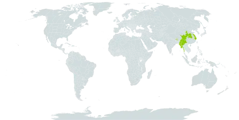 Sedum filipes world distribution map, present in Bhutan, China, India, Myanmar, and Nepal