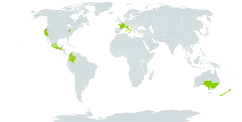 Sedum praealtum world distribution map, present in Australia, Colombia, France, Guatemala, Italy, Mexico, New Zealand, Portugal, and United States of America