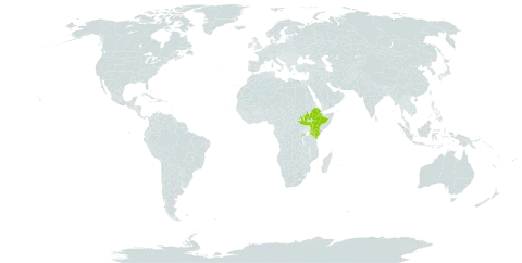 Sedum ruwenzoriense world distribution map, present in Ethiopia, Kenya, Rwanda, South Sudan, and Uganda