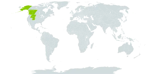 Selaginella densa var. standleyi world distribution map, present in Canada and United States of America