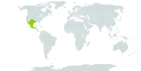 Selaginella lepidophylla world distribution map, present in Costa Rica, Mexico, El Salvador, and United States of America