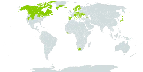 Selaginella selaginoides world distribution map, present in Albania, Andorra, Austria, Bulgaria, Bosnia and Herzegovina, Canada, Switzerland, Czech Republic, Germany, Denmark, Spain, Estonia, Finland, France, United Kingdom of Great Britain and Northern Ireland, Georgia, Greenland, Croatia, Iceland, Italy, Japan, Liberia, Liechtenstein, North Macedonia, Montenegro, Norway, Poland, Romania, Saint Pierre and Miquelon, Serbia, Slovakia, Slovenia, Sweden, Ukraine, United States of America, and South Africa