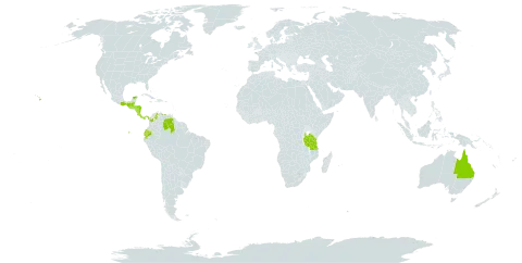 Selaginella umbrosa world distribution map, present in Australia, Belize, Brazil, Barbados, Colombia, Costa Rica, Ecuador, Guatemala, Honduras, Mexico, Nicaragua, Panama, Trinidad and Tobago, Tanzania, United Republic of, United States of America, and Venezuela (Bolivarian Republic of)