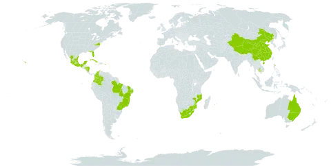 Selenicereus undatus world distribution map, present in Antigua and Barbuda, Australia, Bermuda, Brazil, China, Colombia, Cuba, Spain, Guadeloupe, Honduras, Jamaica, Cambodia, Mexico, Mozambique, Martinique, Mauritius, Nicaragua, Niue, Puerto Rico, Réunion, United States of America, and South Africa