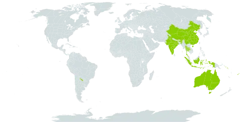 Semecarpus world distribution map, present in Argentina, Australia, China, Fiji, Micronesia (Federated States of), Indonesia, India, Solomon Islands, Thailand, and United States of America