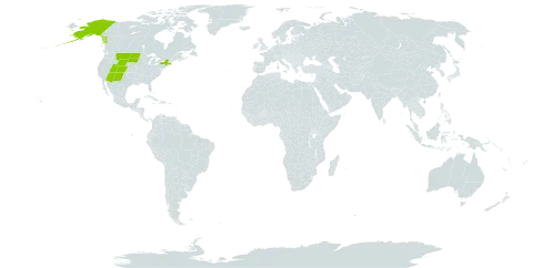 Senecio eremophilus world distribution map, present in United States of America