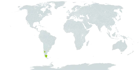 Senecio hatcherianus world distribution map, present in Argentina and Uruguay