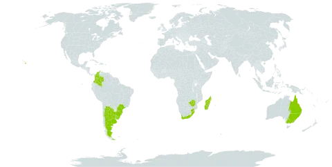 Senecio madagascariensis world distribution map, present in Argentina, Australia, Brazil, Colombia, Madagascar, eSwatini, Uruguay, United States of America, South Africa, and Zimbabwe