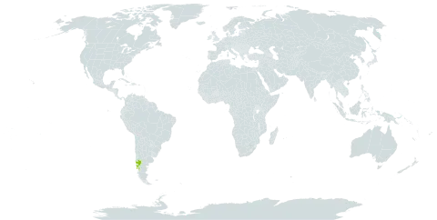 Senecio pilquensis world distribution map, present in Argentina and Chile