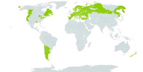 Senecio sylvaticus world distribution map, present in Andorra, Argentina, Austria, Belgium, Bulgaria, Bosnia and Herzegovina, Belarus, Canada, Switzerland, Chile, Czech Republic, Germany, Denmark, Spain, Estonia, Finland, France, United Kingdom of Great Britain and Northern Ireland, Georgia, Greece, Croatia, Hungary, Italy, Liechtenstein, Lithuania, Luxembourg, Latvia, Moldova (Republic of), Montenegro, Netherlands, Norway, New Zealand, Poland, Portugal, Romania, Russian Federation, Serbia, Slovakia, Slovenia, Sweden, Turkey, Ukraine, and United States of America