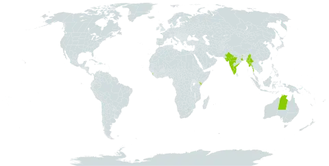 Senegalia chundra world distribution map, present in Australia, India, Kenya, Sri Lanka, and Myanmar