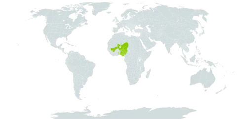 Senegalia erythrocalyx world distribution map, present in Burkina Faso, Mali, Niger, Nigeria, and Togo