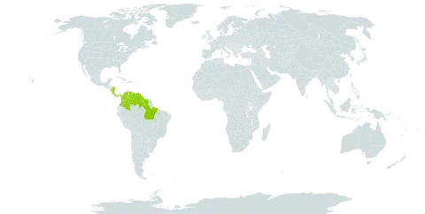 Senna bacillaris var. bacillaris world distribution map, present in American Samoa, Bonaire, Sint Eustatius and Saba, Brazil, Colombia, Costa Rica, Guyana, Nicaragua, Panama, Suriname, United States of America, and Venezuela (Bolivarian Republic of)