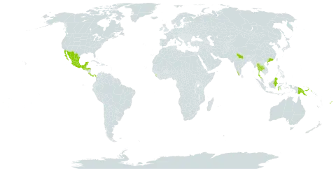 Senna fruticosa world distribution map, present in China, Cook Islands, Costa Rica, Fiji, Guatemala, Honduras, Indonesia, India, Sri Lanka, Mexico, Malaysia, Panama, Papua New Guinea, and Thailand