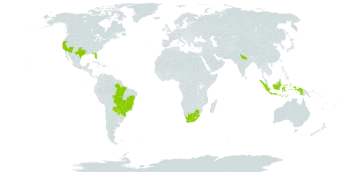 Senna pendula var. glabrata world distribution map, present in Bonaire, Sint Eustatius and Saba, Brazil, Indonesia, India, New Zealand, Paraguay, Tonga, United States of America, and South Africa