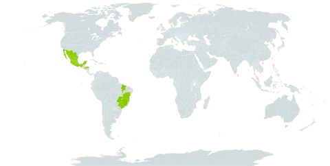 Senna pentagonia world distribution map, present in Brazil, Honduras, and Mexico